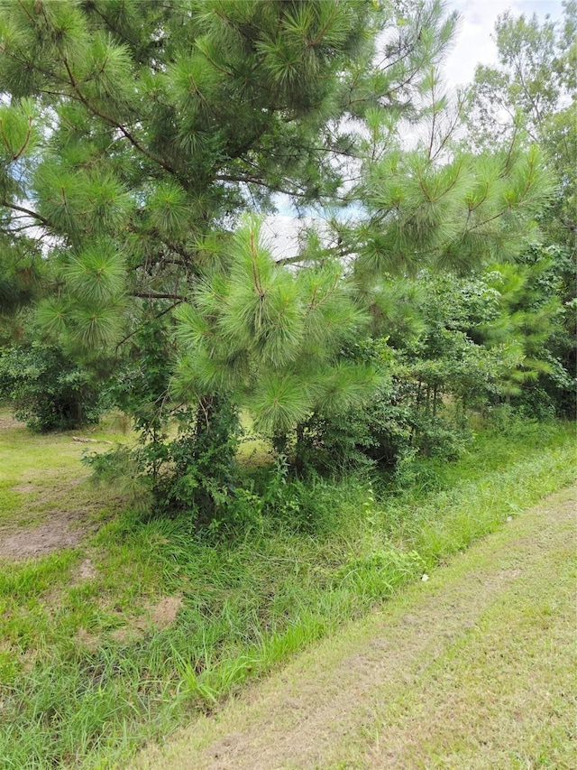 50 Robert E Lee Dr, Conroe, TX 77302 - photo 3