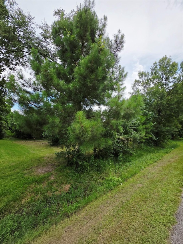 50 Robert E Lee Dr, Conroe, TX 77302 - photo 4