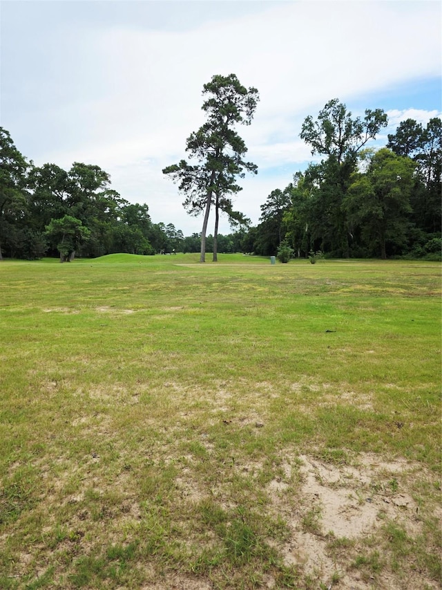 50 Robert E Lee Dr, Conroe, TX 77302 - photo 7