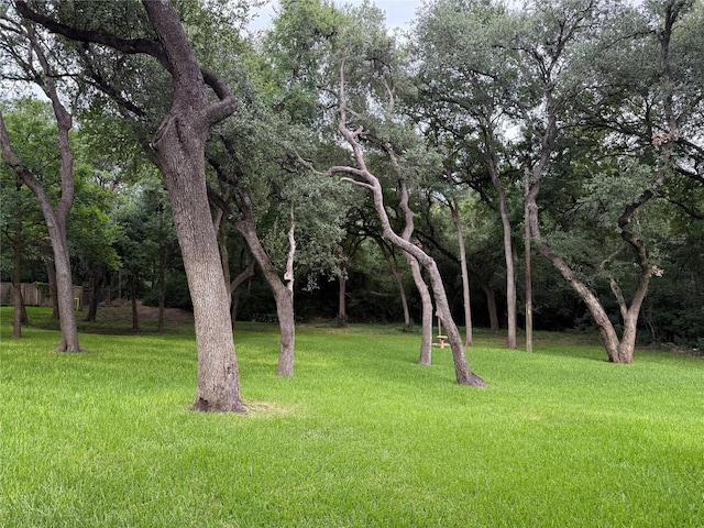 3109 Eanes Cir, Austin, TX 78746 - photo 22