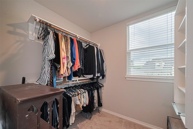 278 Capetown, Montgomery, TX 77356 - photo 23