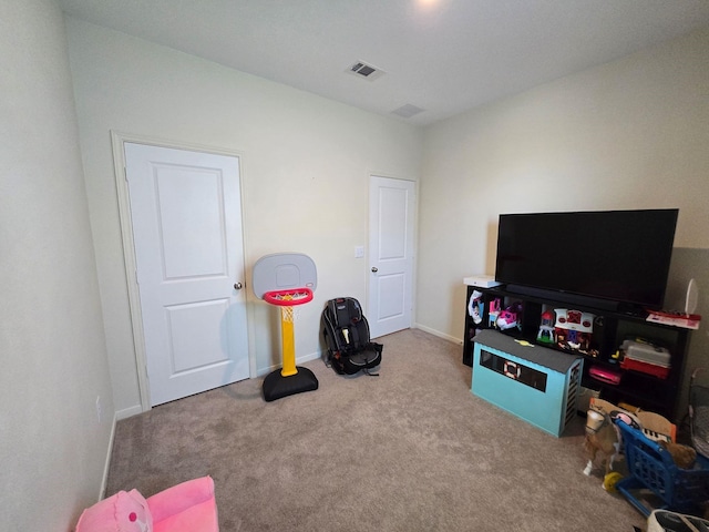 17815 Baleage Ln, Hockley, TX 77447 - photo 23