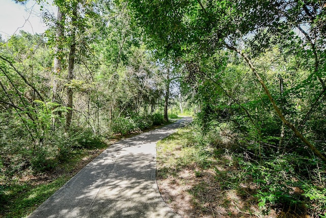 3500 Tangle Brush Dr Unit 14, The Woodlands, TX 77381 - photo 29