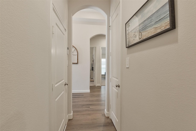 23673 Silver Palm Trl, New Caney, TX 77357 - photo 17
