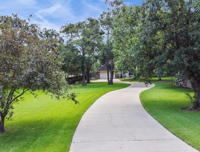 1930 Old River Rd, Montgomery, TX 77356 - photo 2