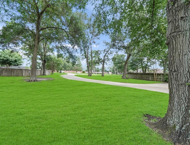 1930 Old River Rd, Montgomery, TX 77356 - photo 5