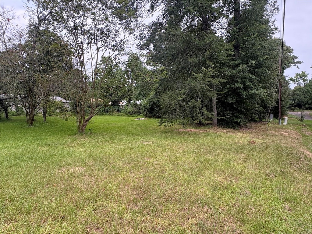 201 Commodore Dr, Livingston, TX 77351 - photo 2