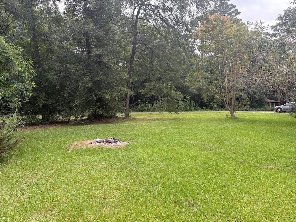 201 Commodore Dr, Livingston, TX 77351 - photo 3