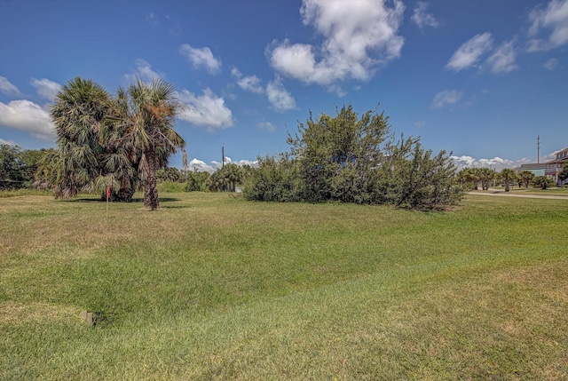 LOT10 Pirates Beach Cir, Galveston, TX 77554 - photo 43