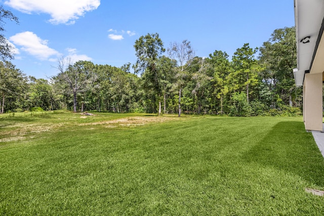 3527 Mauriene Rd, Huffman, TX 77336 - photo 39