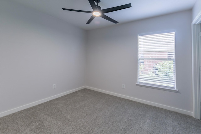 16711 Hollow Ridge Rd, Houston, TX 77053 - photo 16