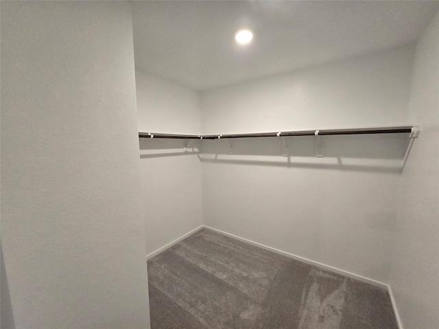 2431 Rooke Rd, Bryan, TX 77807 - photo 6