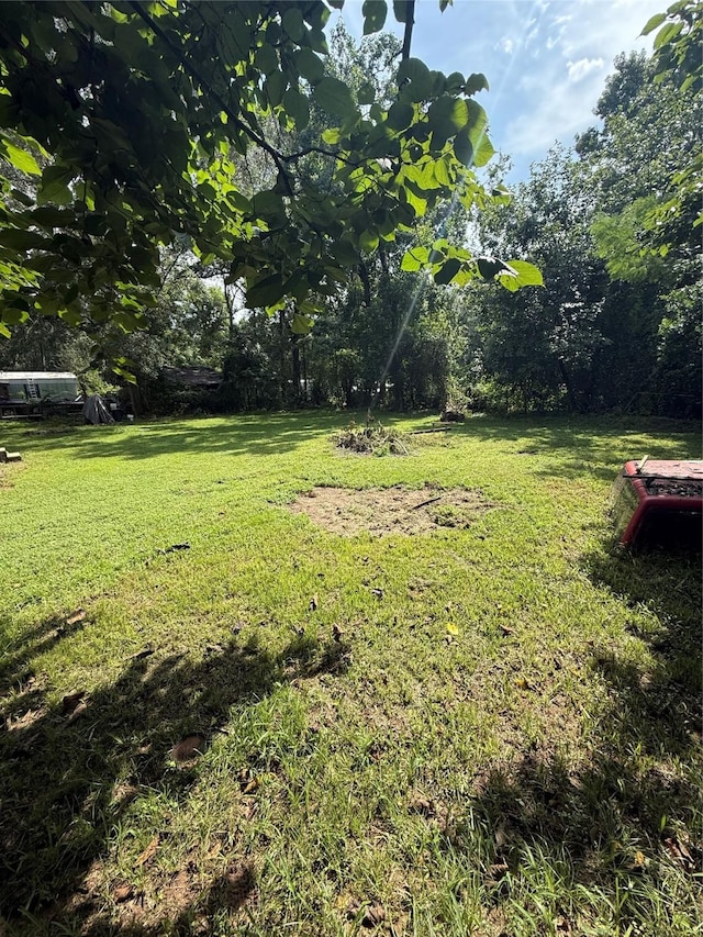 20496 Mcgager Dr, New Caney, TX 77357 - photo 8