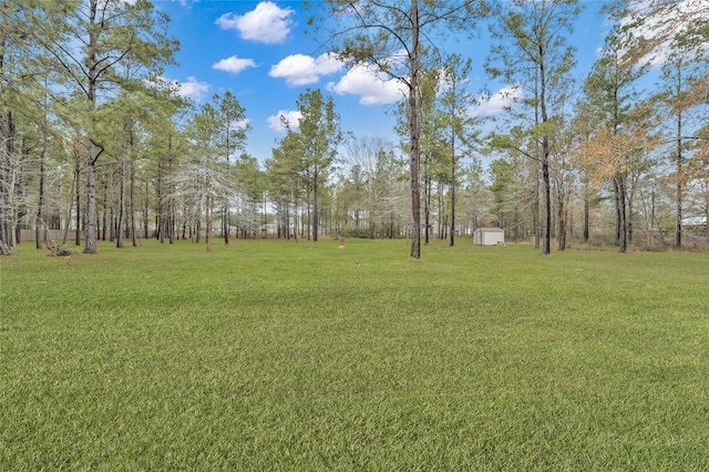 16723 Rockwall St, Conroe, TX 77303 - photo 18