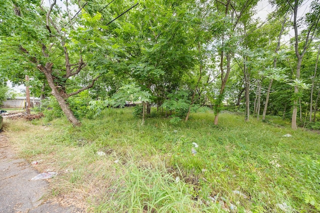432 Pennsylvania St, Houston, TX 77029 - photo 8