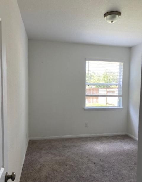 331 E Coralburst Loop, Montgomery, TX 77316 - photo 7
