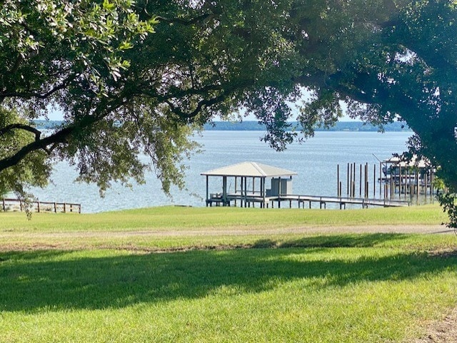 TBD Clearview St, Point Blank, TX 77364 - photo 1