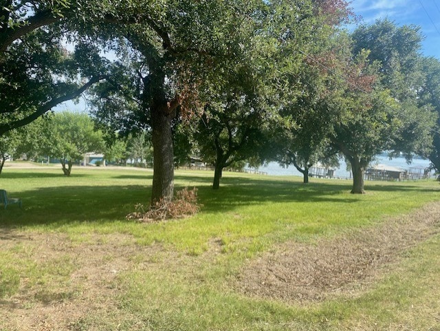 TBD Clearview St, Point Blank, TX 77364 - photo 2