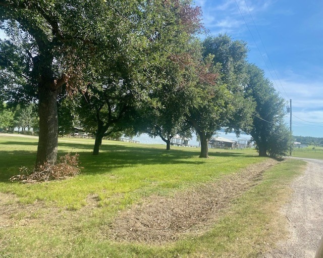 TBD Clearview St, Point Blank, TX 77364 - photo 4