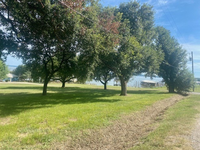 TBD Clearview St, Point Blank, TX 77364 - photo 6