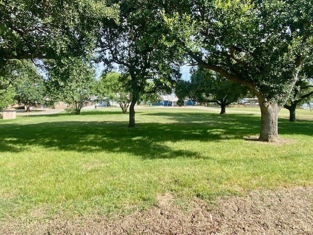 TBD Clearview St, Point Blank, TX 77364 - photo 7