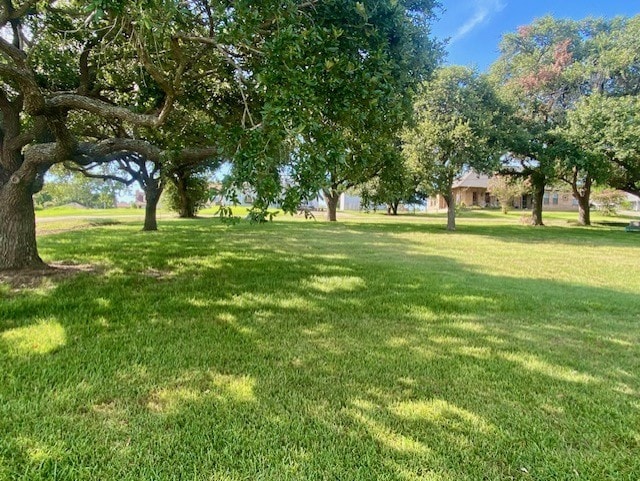 TBD Clearview St, Point Blank, TX 77364 - photo 9