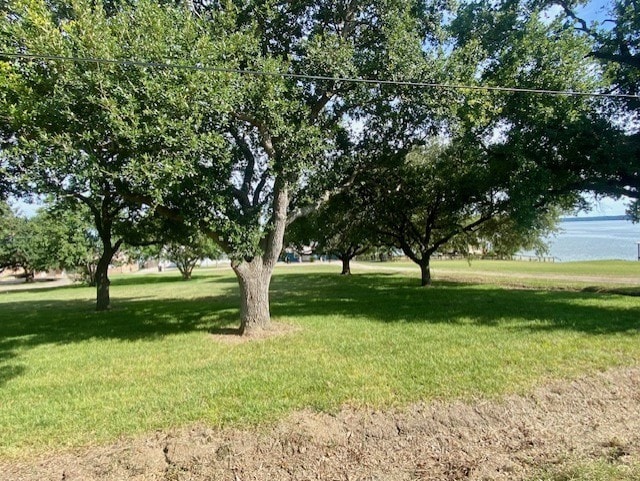TBD Clearview St, Point Blank, TX 77364 - photo 10