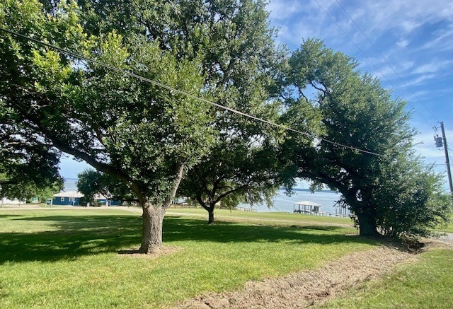 TBD Clearview St, Point Blank, TX 77364 - photo 11