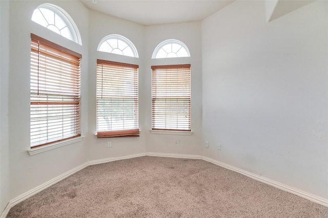401 Carol Dr, Hutto, TX 78634 - photo 3