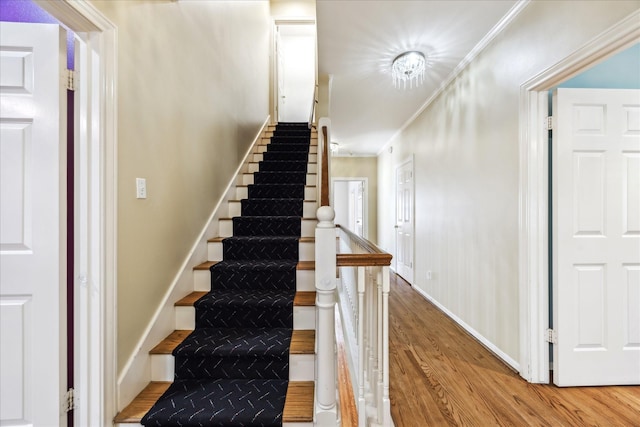 2631 Amherst St, Houston, TX 77005 - photo 25