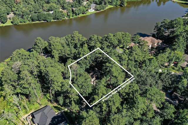 1801 Camellia Ct, Huntsville, TX 77340 - photo 27