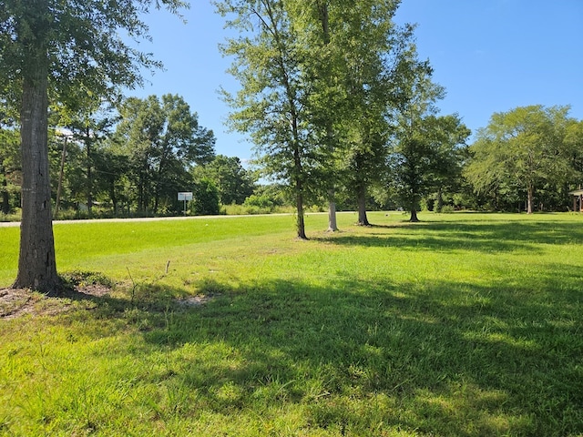 547 Fm 326, Lufkin, TX 75901 - photo 2