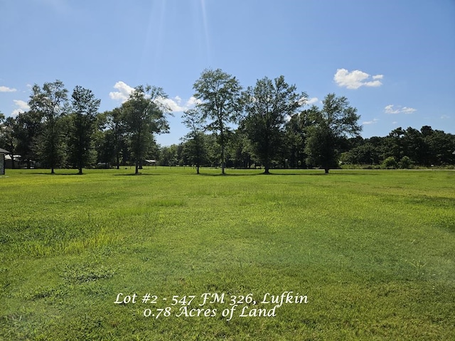 547 Fm 326, Lufkin, TX 75901 - photo 1