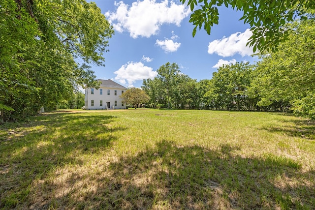 102 Clegg St, Trinity, TX 75862 - photo 4