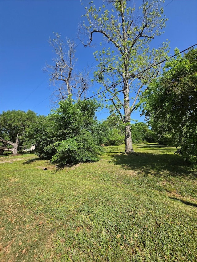 502 Del Norte St, Houston, TX 77018 - photo 2
