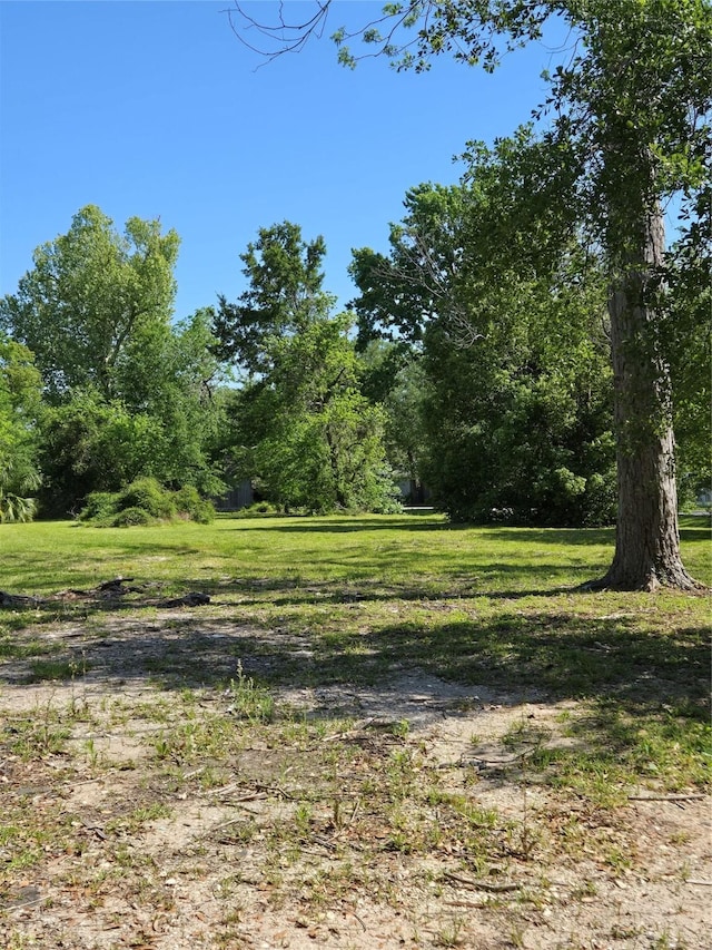 502 Del Norte St, Houston, TX 77018 - photo 4