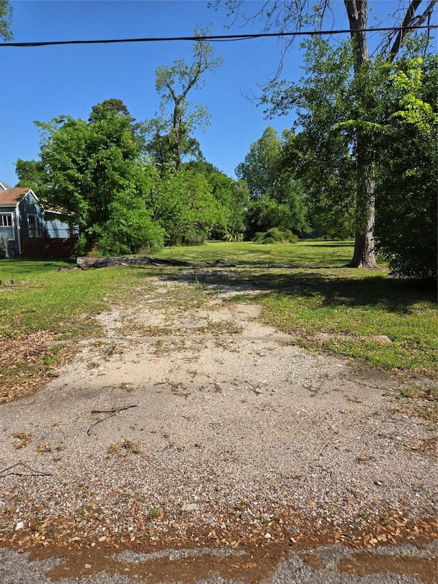 502 Del Norte St, Houston, TX 77018 - photo 5