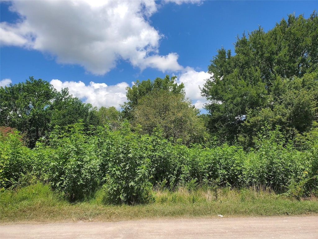 2577 Foots Wilson Rd, Pattison, TX 77423 - photo 1