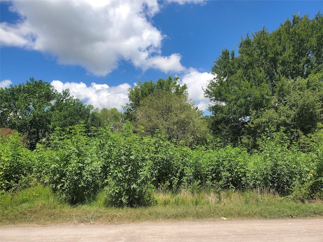2577 Foots Wilson Rd, Pattison, TX 77423 - photo 1