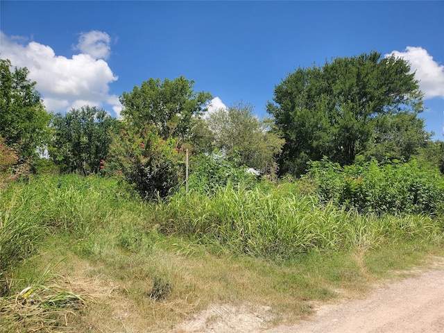 2577 Foots Wilson Rd, Pattison, TX 77423 - photo 4