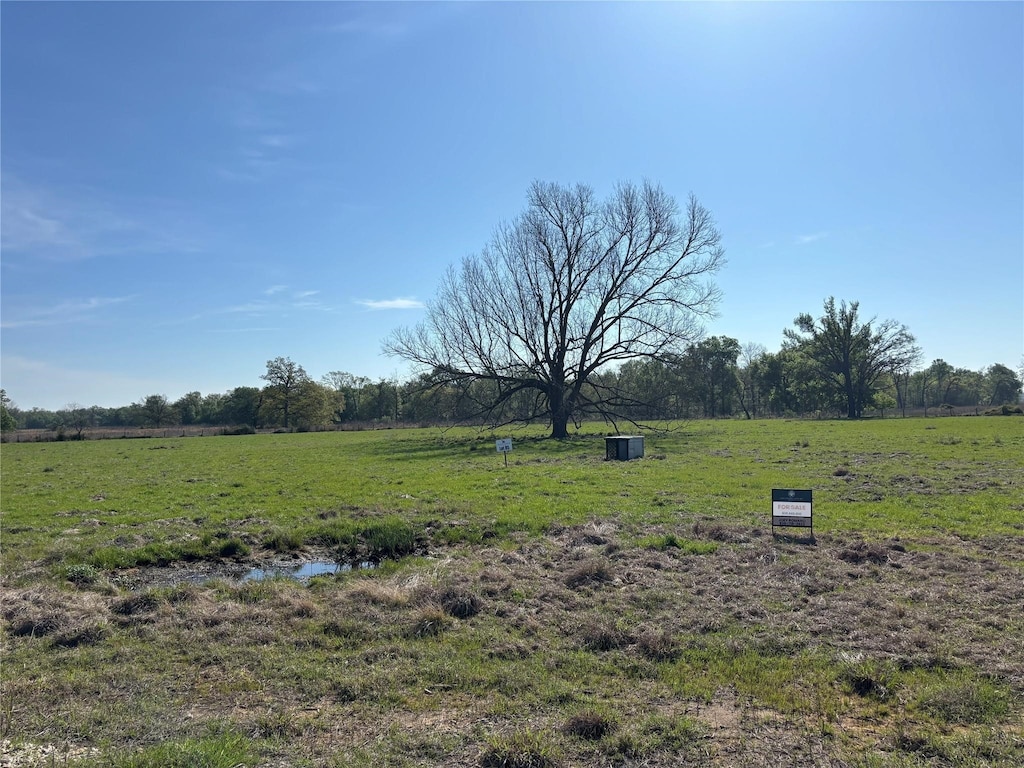 LOT85 County Road 231, Centerville, TX 75833 - photo 3