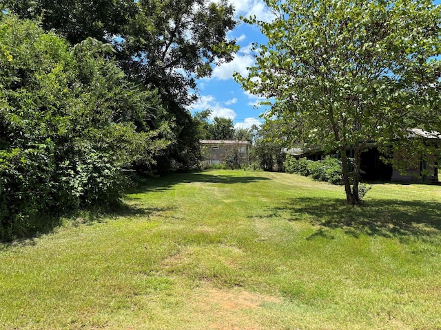 11292 Clover Ln, Berryville, TX 75763 - photo 3