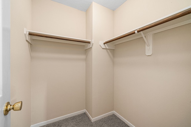 1118 N Rock Dr, Houston, TX 77073 - photo 25