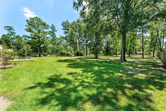 27514 Siandra Creek Ln, Spring, TX 77386 - photo 48
