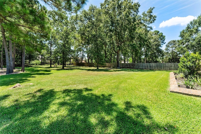 27514 Siandra Creek Ln, Spring, TX 77386 - photo 49
