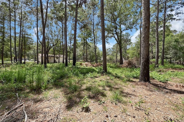 211 Walter Dr, Cleveland, TX 77328 - photo 18