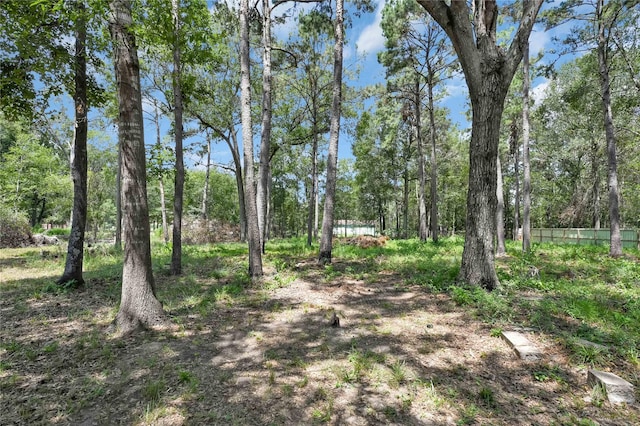 211 Walter Dr, Cleveland, TX 77328 - photo 19