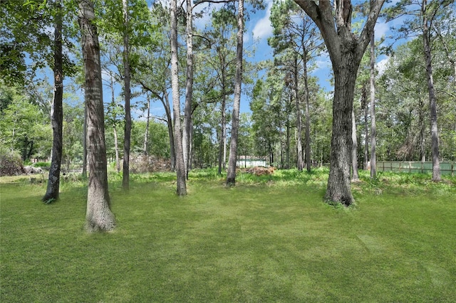 211 Walter Dr, Cleveland, TX 77328 - photo 20