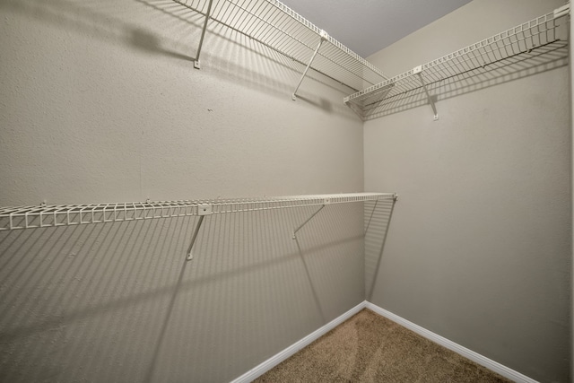 9110 Longcroft Dr, Spring, TX 77379 - photo 12