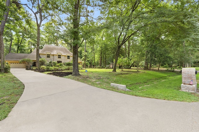 2410 Shady Run, Houston, TX 77339 - photo 5